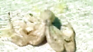 What Happens When An Octopus Is Out Of Water?