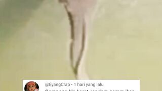 Cara MENGOBATI Penyakit JAMUR pada ikan lele