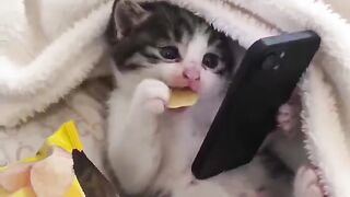 BMjAyNjA0MDkxMzE4MDJfNDcyODk0NzQ2OV8xOTI2MDM4MDAwMDJfMF8z_b_B8cd9565ef97545f63d0f3727b539b275.mp4