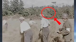 Perang di Belakang, Panen di Depan.. Prancis 1944 ‼️