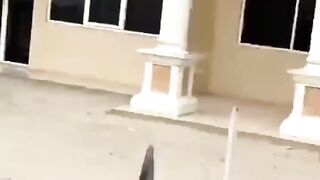Istri korban kemudian merekam