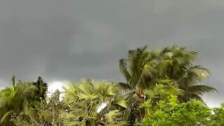 Nature beautiful ❤️ 2