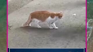 ikutan bengong