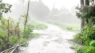 Semangat pagi 3