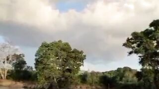 Apa itu musim bediding❗️Apa pengaruhnya ke ikan lele❓️