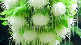 এই সুন্দর ফুল 🌸 সুন্দর ফল 🍎 মিঠা নদীর পানি 💧Motivation & Life Quotes