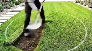 INSANE BUNKER CONSTRUCTION