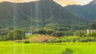 Semat soree