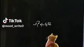kajla sab 7