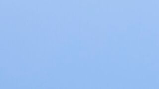 Swallows in Action: a captivating Journey over Odessa
