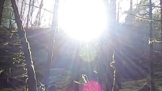 Beautiful nature 330