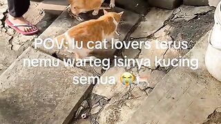 kuceng 2