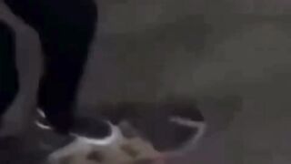 Freestyle skateboard tapi gak liat-liat