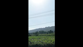 Traditional Tong Tong Music