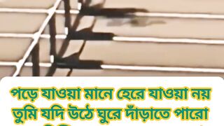 যে পড়েও থামে না, ইতিহাসটা সেই-ই লেখে! ✨