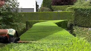 🎬 Title: The Most Satisfying Hedge Trim You'll Watch Today 🌿✂️