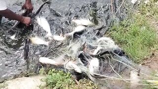 Fishing 71