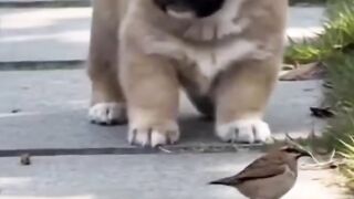 Unexpected Moments You Can't Stop Watching!