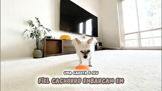 A garota e o cachorro