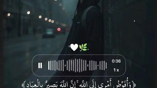 Tilawat e Quran Majeed 96