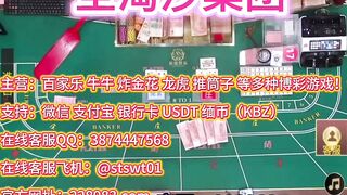 缅甸赌场鼎盛娱乐网投部【QQ 3874447568 | TG  @stswt01】