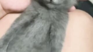 Little cat 10