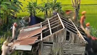 🛠️ The Most Satisfying Village House Build You'll Ever See | ASMR