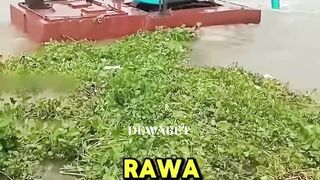 EXCAVATOR KOK BISA NGAPUNG?
