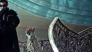 Low_Fade_🎵___Karan_Aujla_😮‍💨___#shorts(360p).mp4
