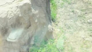 Feed the tiger