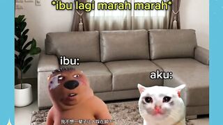 siapa dulu yg pernah gini 🤣