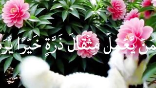 Melodious Quran Recitation | Heart-touching Tilawat 🕋🤍