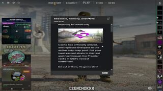 CS2 Season 5 Update - ALL New Armory Skins Showcase