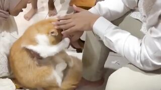 aku kasih banyak deh