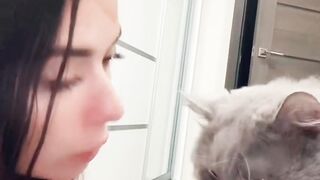 Сборник котиков