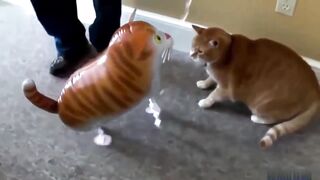 Кошки и воздушные шары
