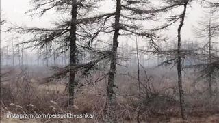 Уникальный пожар в тундре в мороз минус 20. Горит трава под Магаданом