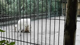 Зоопарк Бердянск ч2