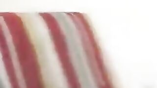 Кот разговаривает с хозяйкой