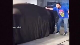 автошок 31
