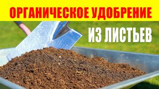 Органическое Удобрение Из Листьев. Органическое земледелие