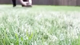Funny Animal - Best Of The 2021 Funny Animal Videos - TRY NOT TO LAUGH!