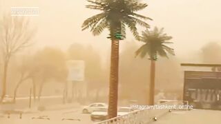 Солнце пропало в Ташкенте. Мощная песчаная буря в Узбекистане
