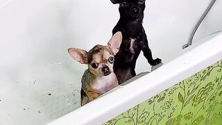 Ой что-то будет