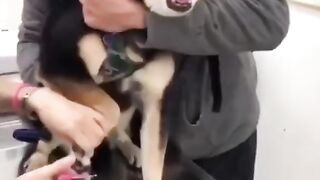 О попал