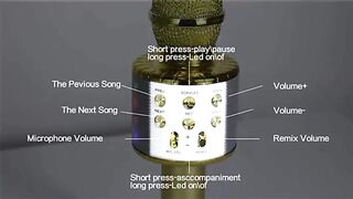 Wireless Karaoke Microphone