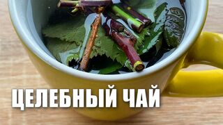 Ветки Малины. Целебный Чай Из Листьев Малины И Веток