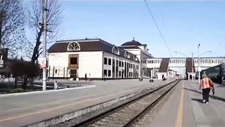 Вот кто объявляет поезда. Кот-диспетчер.