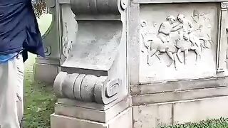 Funny Boston Terrier - Best Of The 2021 Funny Dog Videos - TRY NOT TO LAUGH!