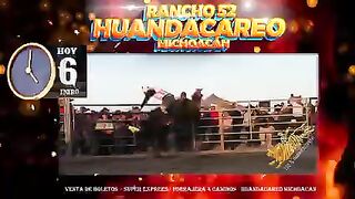Angry Bull Dangerous